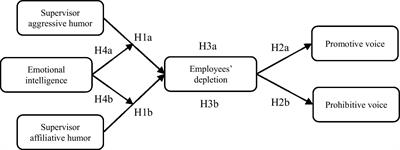 I will speak up if I feel energetic: Effects of supervisor humor on employee voice